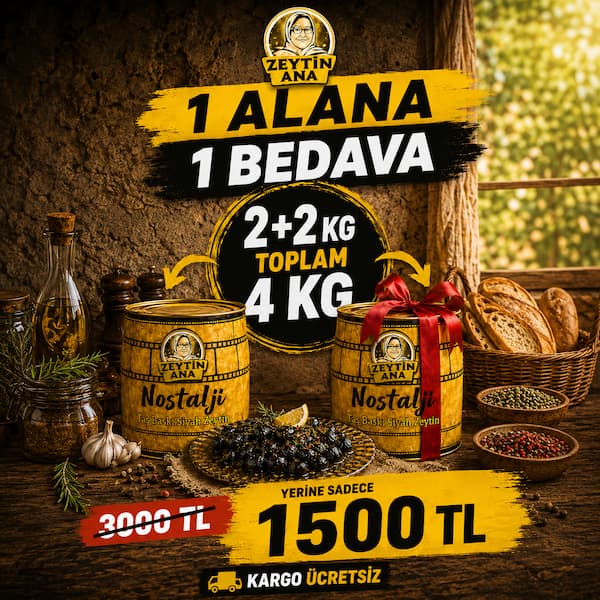ZeytinAna Nostalji Taş Baskı Zeytin (L) 2 KG